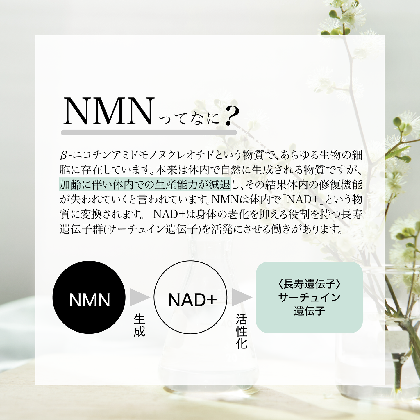 【Low molecular weight technology used】 Lotion - Toner